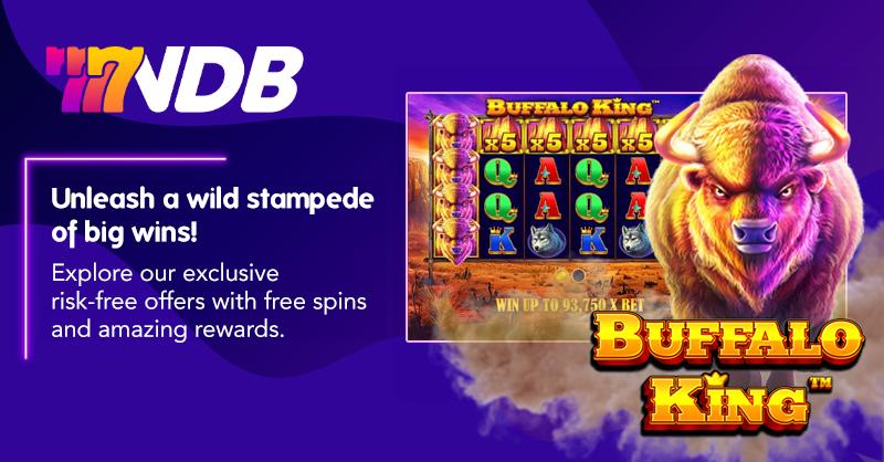 daji live Desert Shark APP Download